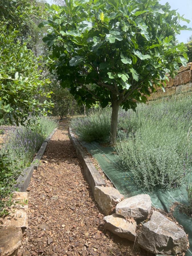 Villa Familiale Avec Vue Imprenable Saint-Raphael  Bagian luar foto